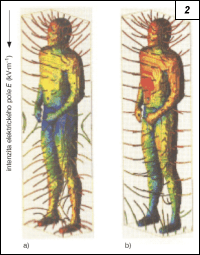 Obr. 2.