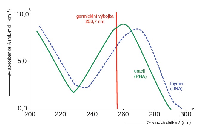 Obr. 2. Srovnání absorpčních spekter thyminu a uracilu