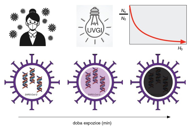 Obr. 3. Schéma působení germicidního UV záření na koronaviry