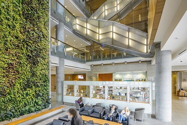 Obr. 12. Biofiltrační stěna systému Nedlaw Living Walls v hale čtyřetážové budovy University of Ottawa (foto: archiv Nedlaw)