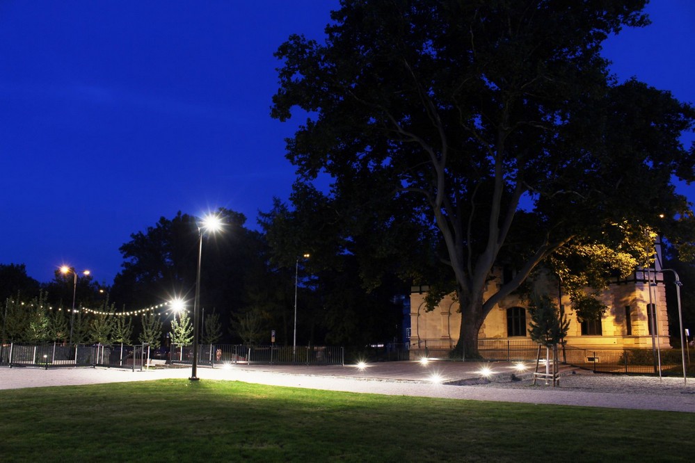 Obr. 5. Platan u dřevěné terasy - Osvětlení parku u Biskupství ostravsko-opavského