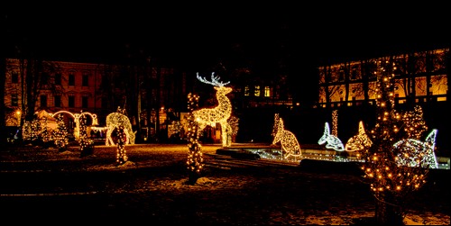 Obr. 3. Zámecký park v Jičíně – světla každý rok vypráví jiný příběh s respektem k prostředí