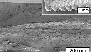 3-D printing with cellulose