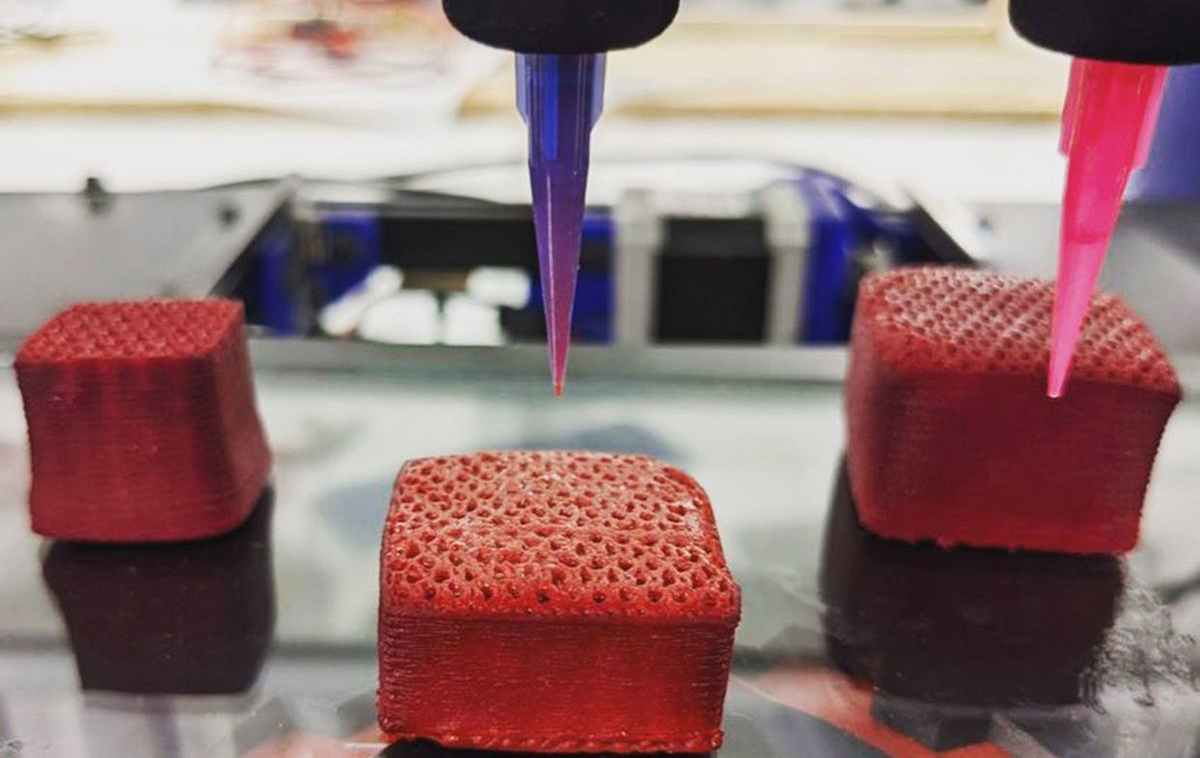 3D printed meat