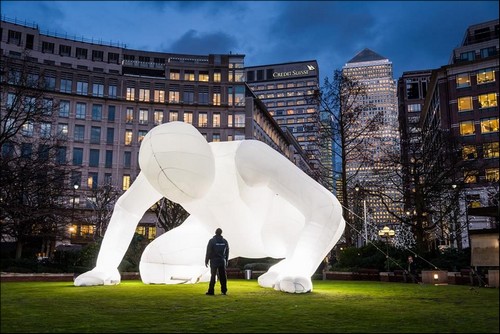 Amanda Parer Humanois Signal Festival 2016