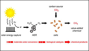 Artificial Photosynthesis