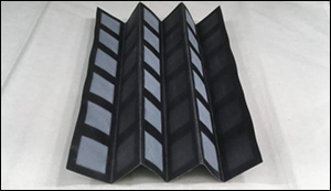 Bacteria- Powered Battery