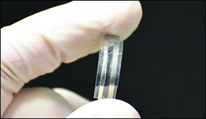 Biologically degradable sensor