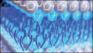 Supercapacitators