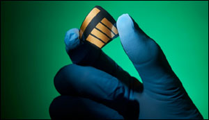 Perovskite solar cells