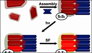 Self-assembly nanomaterials