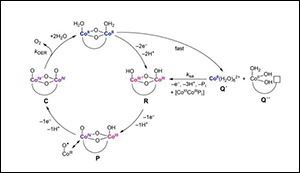 Self-healing catalyst