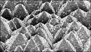 Solar cell record efficiency