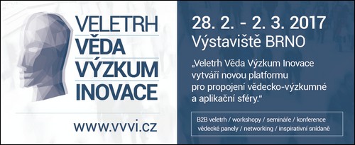 VVVI 2017