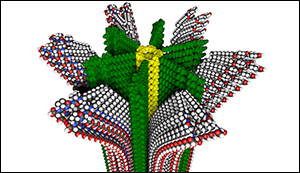 New kind of polymer