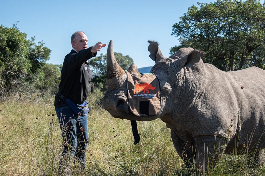 Jaderné technologie pro záchranu nosorožců