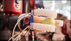 Robotic hand can pick up different objects