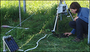 Impact of solar panels on the land