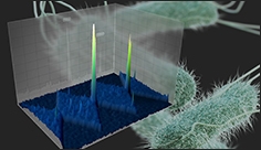 Sorting good germs from bad, in the bacterial world