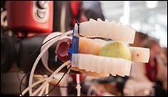 Soft robotic hand can pick up and identify a wide array of objects