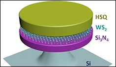 Exciting Breakthrough in 2D Lasers