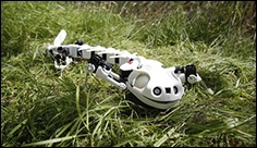 A new robot mimics vertebrate motion