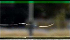 New plastic material begins to oscillate spontaneously in sunlight