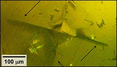 Toward all-solid lithium batteries