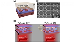 Electrically tunable metasurfaces pave the way toward dynamic holograms