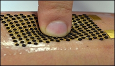 Stretchable biofuel cells extract energy from sweat to power wearable devices