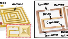 Electronic devices that can degrade and physically disappear on demand