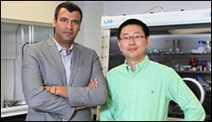 Making lithium-ion batteries safer, stronger