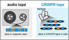 World’s Smallest Tape Recorder Is Built From Microbes