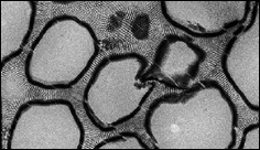 3D porézní materiál v nanoměřítku