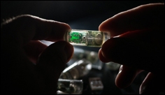 Ingestible “bacteria on a chip” could help diagnose disease