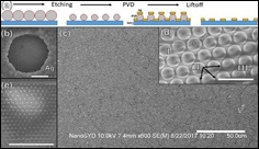 Transparent, Conductive Films Promising for Developing Flexible Screens