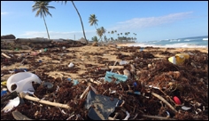 Biorenewable, biodegradable plastic alternative synthesized by CSU chemists