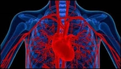 Novel 3D bioprinting tech to create artificial blood vessels, organ tissue