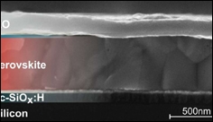 New records in perovskite-silicon tandem solar cells through improved light management