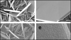 New Discovery Makes Fast-Charging, Better Performing Lithium-Ion Batteries Possible