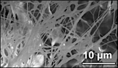 Nanofiber-hydrogel composite allows soft tissue to regenerate
