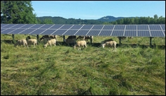 Efektivnější využití půdy ke zvýšení účinnosti solárních panelů