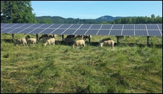 Installing solar panels on agricultural lands maximizes their efficiency