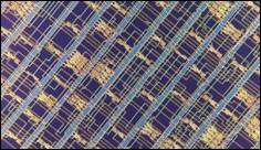 Advanced microprocessor made from carbon nanotubes