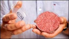 Artificial meat is now made in space