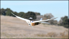 Pigeon-inspired drone bends its wings to make it more agile