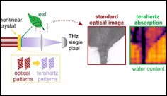 Lasers and terahertz waves combined in camera that sees 'unseen' detail