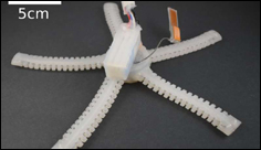 This is PATRICK: Meet the brittle star-inspired robot that can crawl underwater