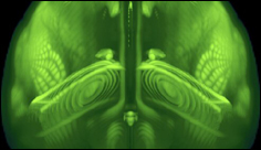 A new high-resolution, 3D map of the whole mouse brain