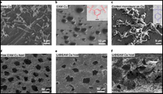 Lithium metal batteries that perform well at low temperatures